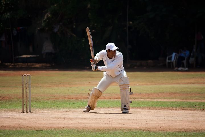 cricket-166932__480.jpg