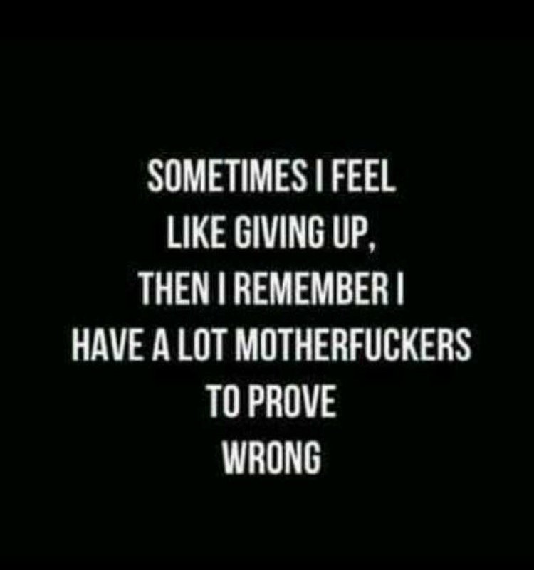 IMG_5735.PNG