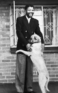 GOMPO NELSON MANDELA DOG.jpg
