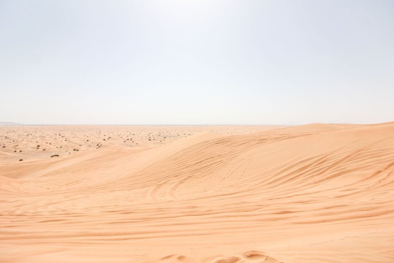 in-the-desert.jpg
