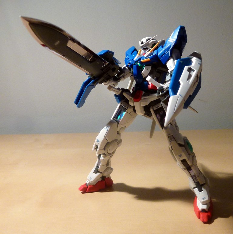 RG-Exia11.jpg