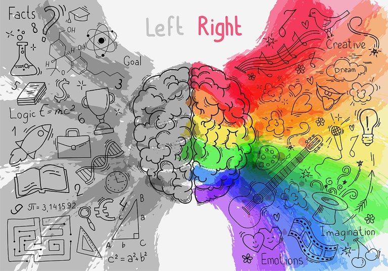 Left-vs-Right-Brain.jpg