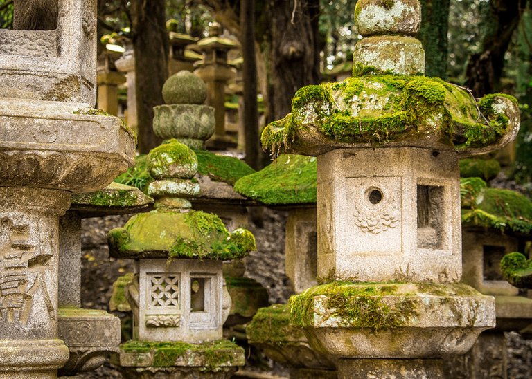 Nara-lanterns-3797-258.jpg