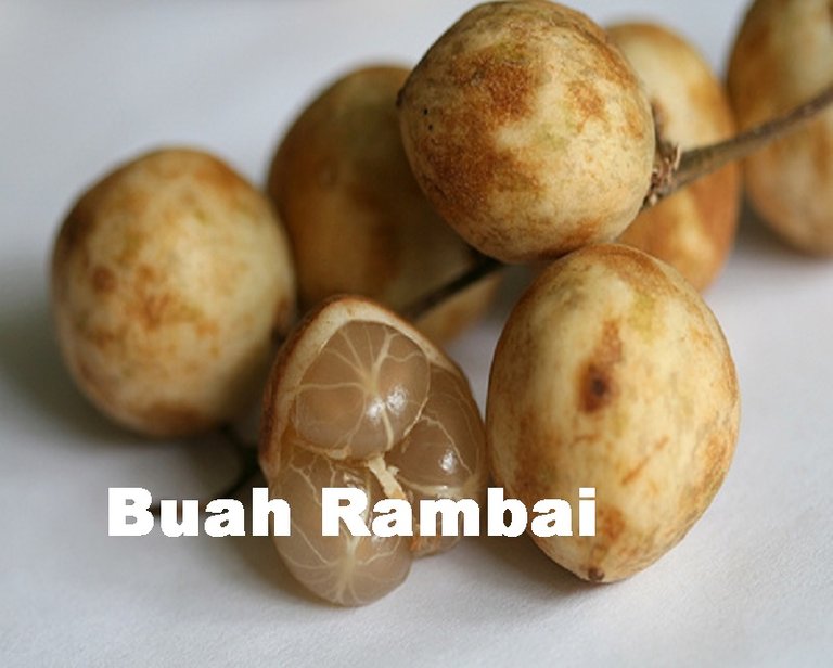 Buah-Rambai.jpg