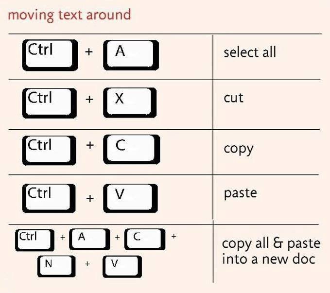 29262006_1794550064173960_7937007745197146112_n.jpg