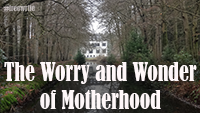 thumb-theworry-wonder-motherhood.png