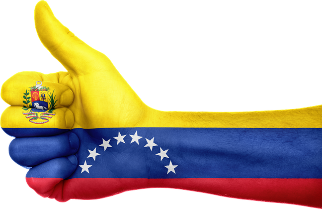 tmp_1113-Yo-apuesto-por-venezuela-42048550997.png