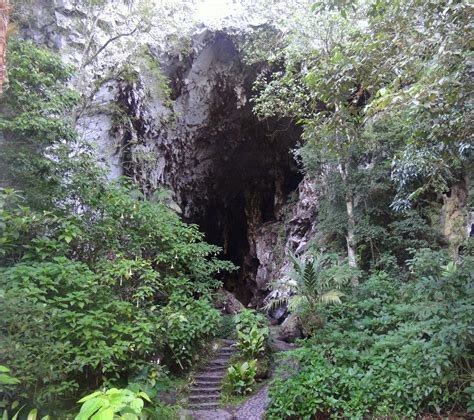 cueva del guacharo.jpg
