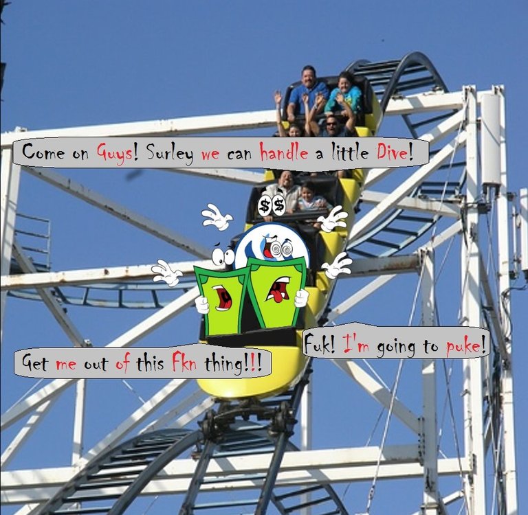 Rollercoaster.jpg