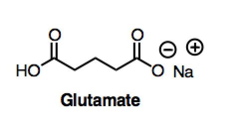 glutamate.png