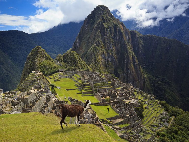 machu-picchu-llama-overlord-cr-getty.jpg