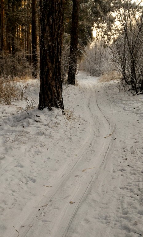 gagarinapark-006.jpg