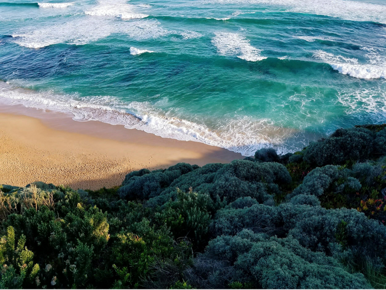 Australia_ocean.png