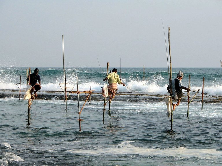 1024px-Stilts_fishermen_Sri_Lanka_02.jpg