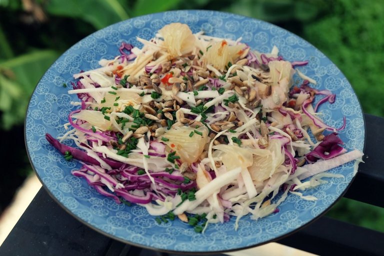 Jícamas-pomelo-salad-2.jpg