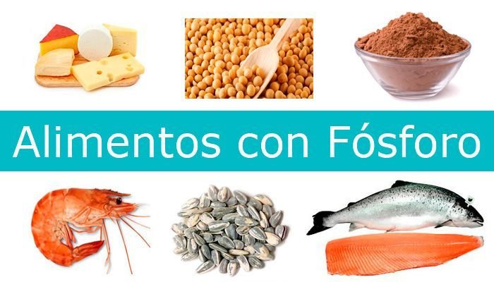 alimentos-con-fosforo.jpg