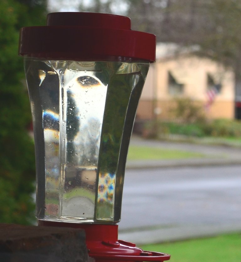 dog head refraction creepy.jpg