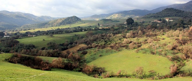 souk thleta.jpg