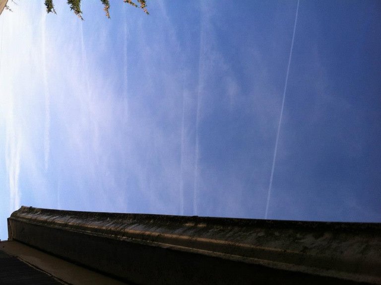 contrail 1.jpg