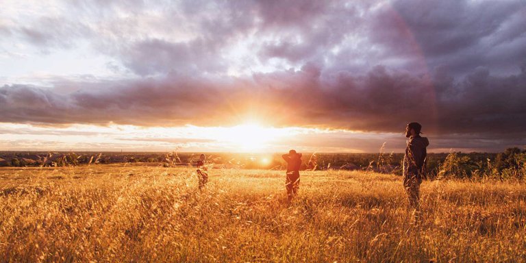 wheat-sunset.jpg