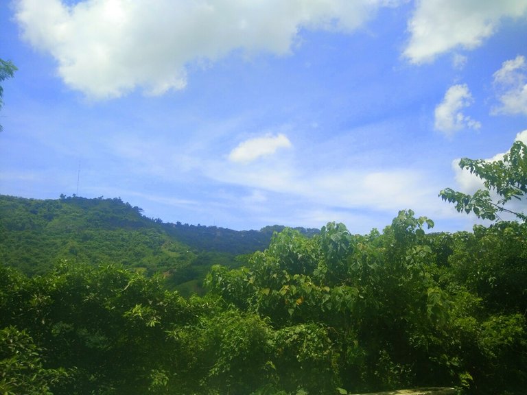 IMG_20170831_064037.jpg