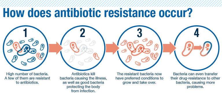 antibiotic_resistance-a.png