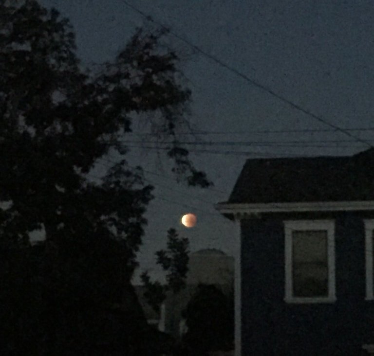 Super Blue Blood Moon Eclipse.JPG