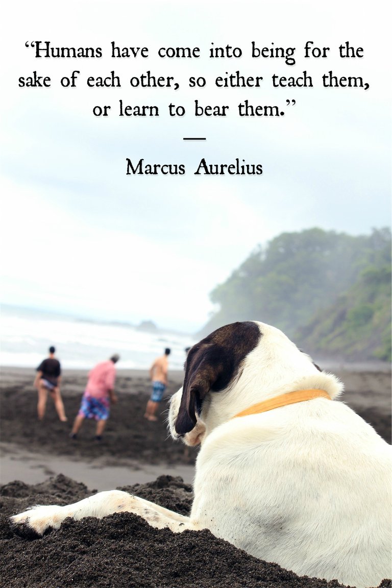 Marcus Aurelius quote 2.jpg