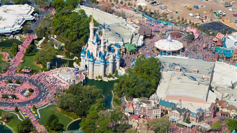 Disneyland-Theme-Park-Aerial-View.jpg