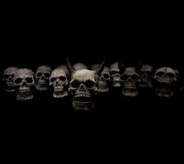 skulls-623532_1920.jpg