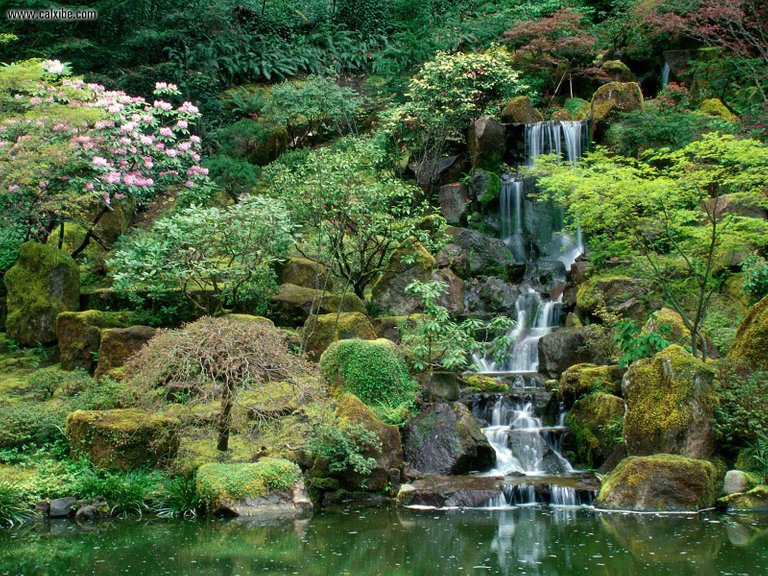 Portland.Japanese.Garden.original.829.jpg