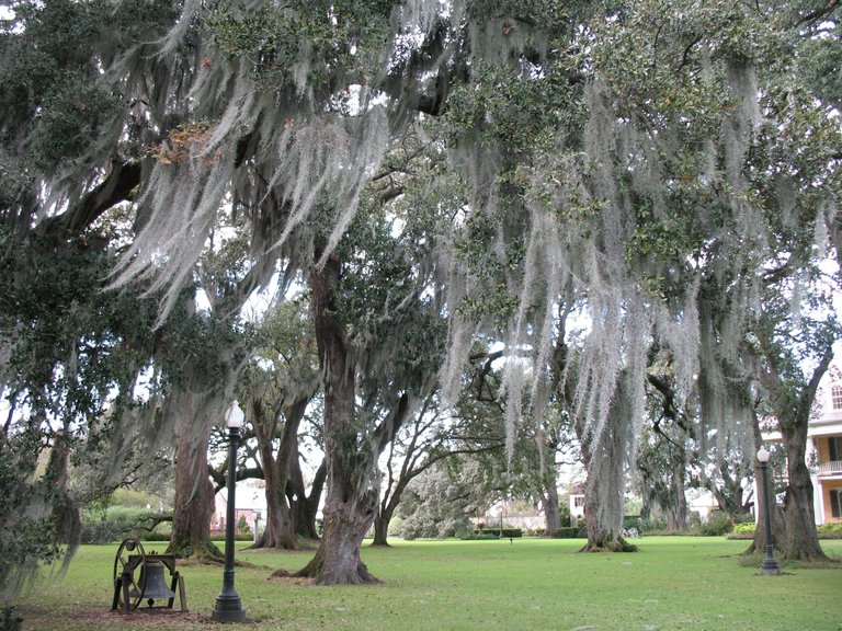 Louisiana.jpg