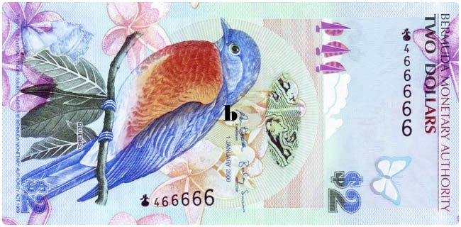 beautiful-country-currency-bermuda.jpg