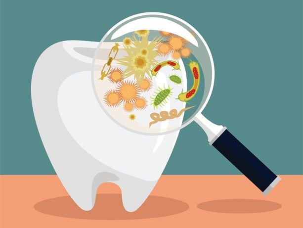 healthy-gums-tooth-bacteria.jpg