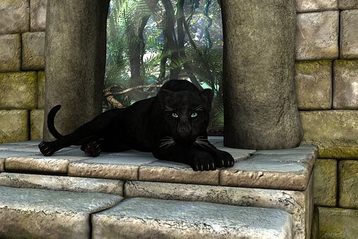 panther-1705220__340.jpg