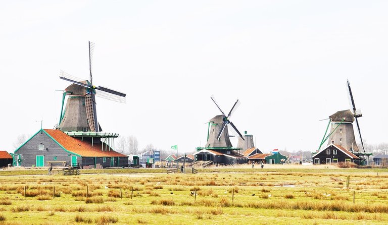 dutchwindmills.jpg