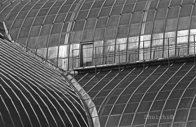 botanical_garden_windows_small.jpg