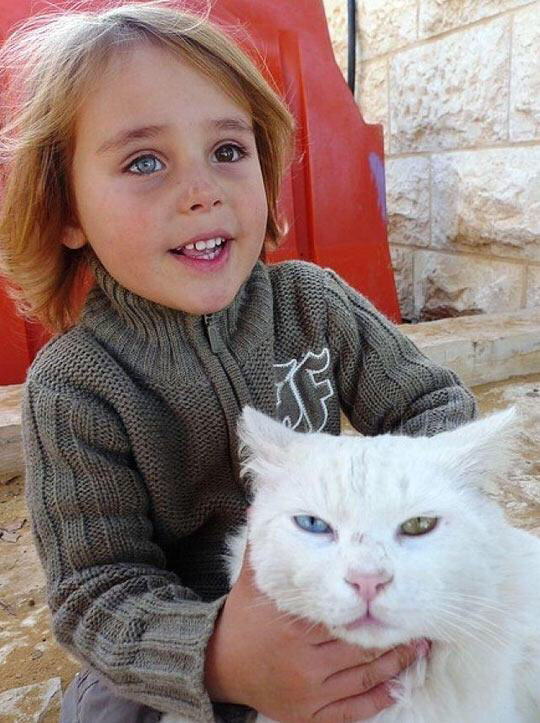 Heterochromiac afghan girl with her heterochromiac afghan cat.png