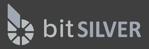 bitSILVER-grey.jpg