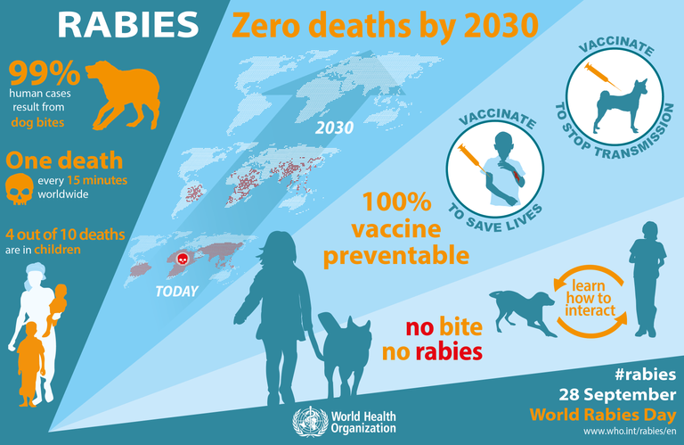 World_Rabies_Day_2016_Infographic.png