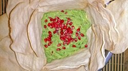 guacamole-smaller.jpg