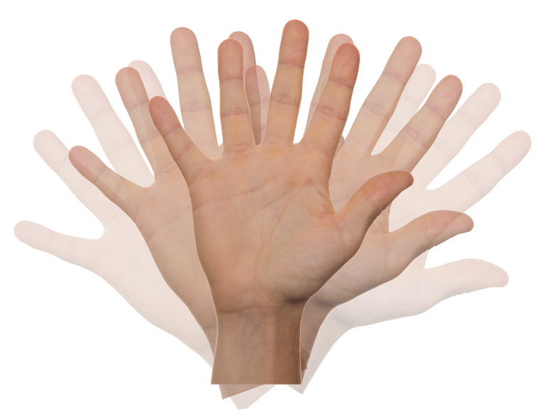 hand-2415036_1920.png