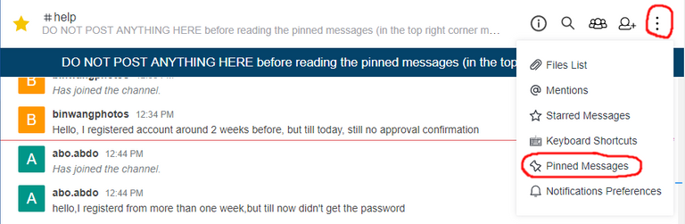 pinnedmessages.png