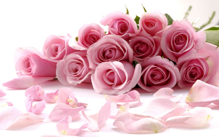 deep-pink-rose-clipart-9.jpg