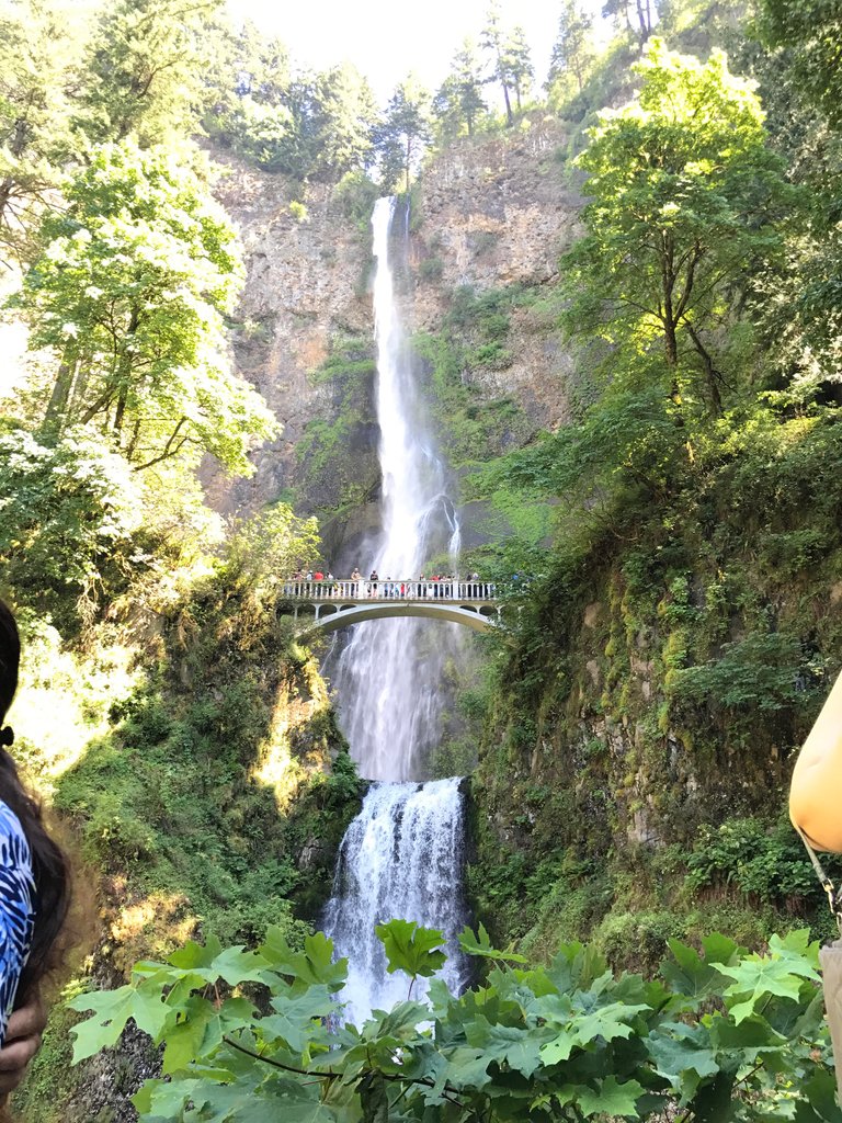 wahkeena falls.jpg