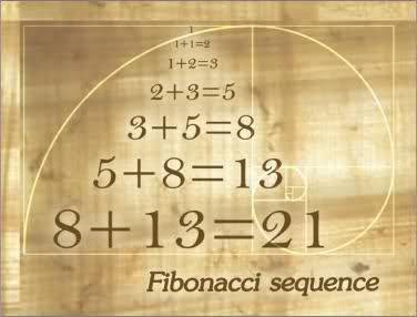 Fibonacci-betting-system.jpg