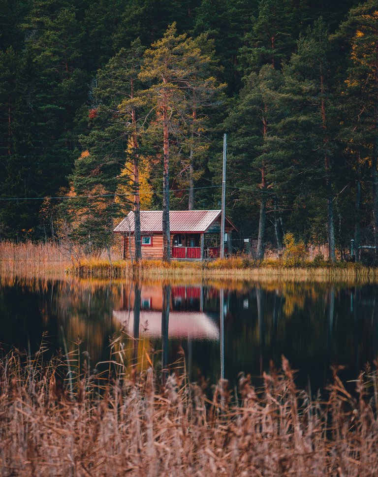 Fall Dalarna 2.jpg