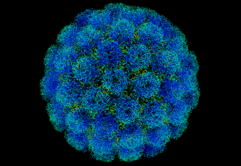 800px-Symian_virus.png