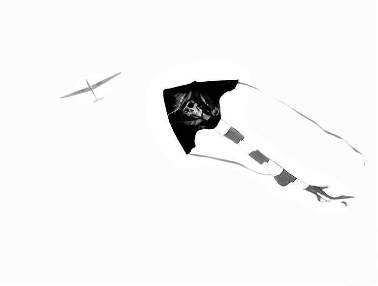 kite and glider1b.jpg