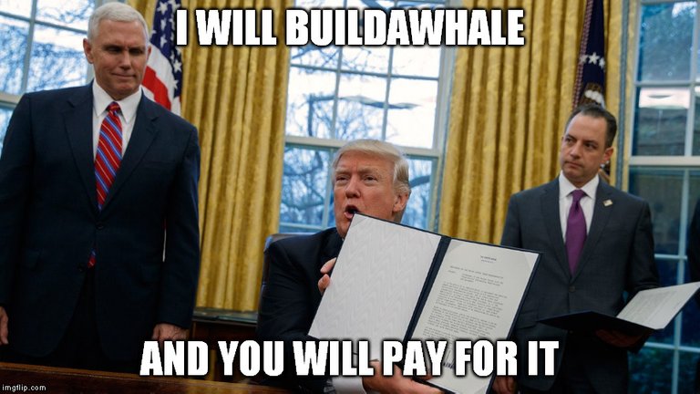 buildawhale.jpg